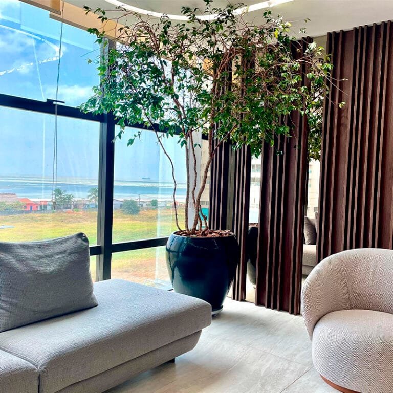 Andressa_0001_WhatsApp Image 2025-01-15 at 17.15.36 (1)